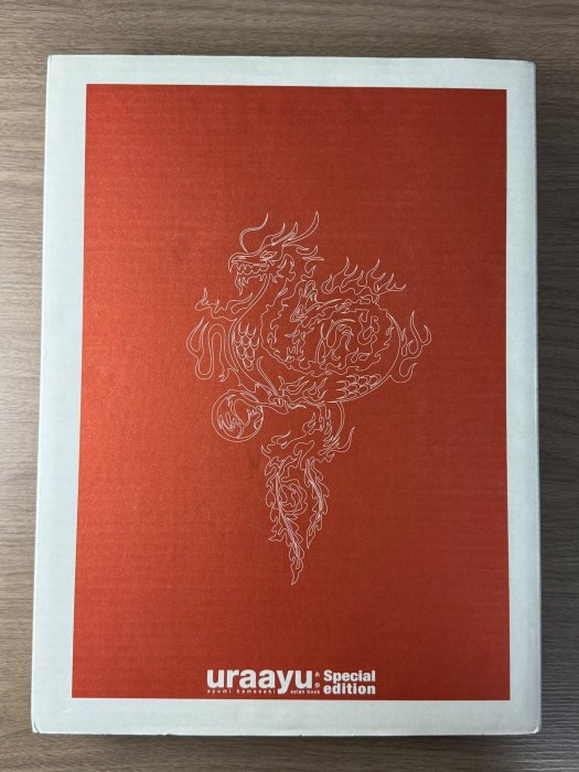 廃盤 完全限定生産 浜崎あゆみ uraayu special edition裏歩