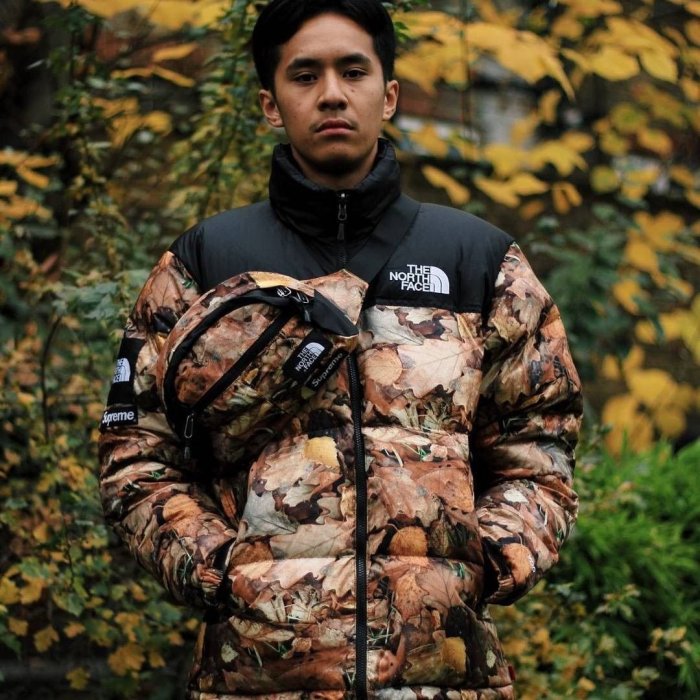 Supreme x The North Face TNF Nuptse Jacket Leaves 落葉羽絨外套box