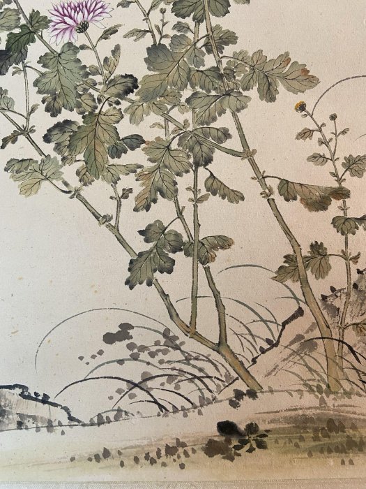 清惲壽平《花卉圖》紙本綾裱立軸尺寸37×～-291596 | Yahoo拍賣