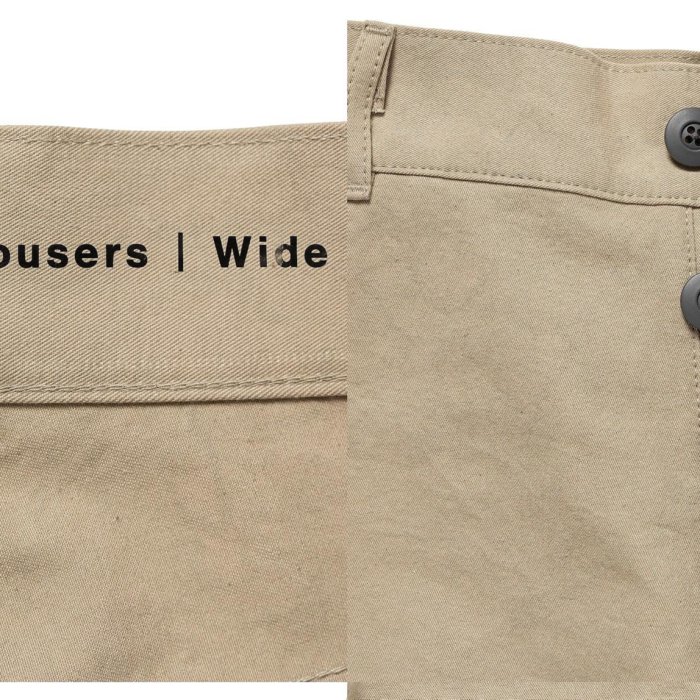 パンツ DESCENDANT WORKTROUSERS UNSAIORI raregem DESCENDANT/WORK TROUSERS UNSAIORI raregem (BEIGE)