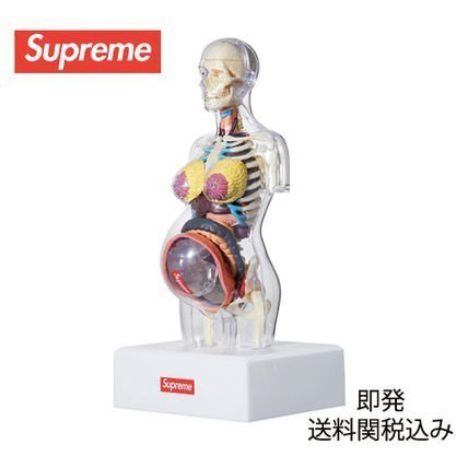 SUPREME 18AW Male Anatomy Model 人体模型 Supreme Male Anatomy Model Clear | Hype Clothinga