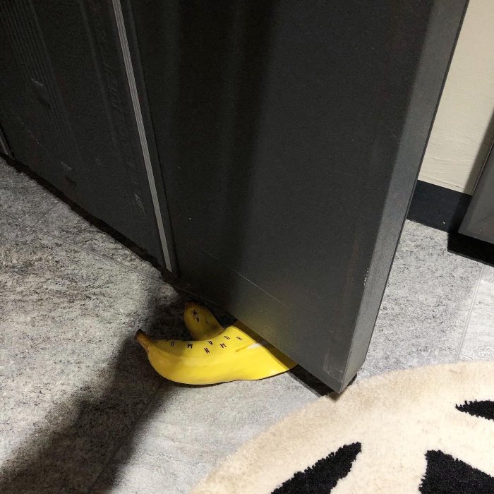 希望商店】 HUMAN MADE BANANA DOOR STOPPER 21SS 香蕉仿真造型門擋
