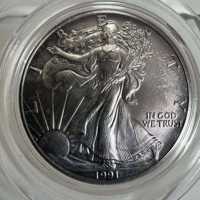 美國1991鷹洋行走女神自由女神銀幣1盎司好品紫色包漿 asea19911