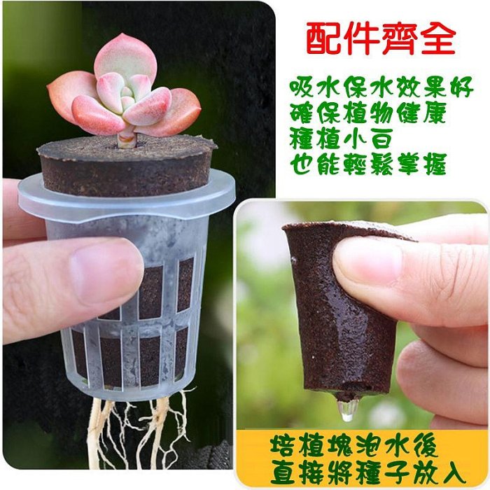 【珍愛頌】N693 育苗杯五件套 水培杯 水培種子花盆 水培花盆 水耕瓶 育苗盆 塑膠花盆 水培瓶 水養植物瓶 水耕盆栽