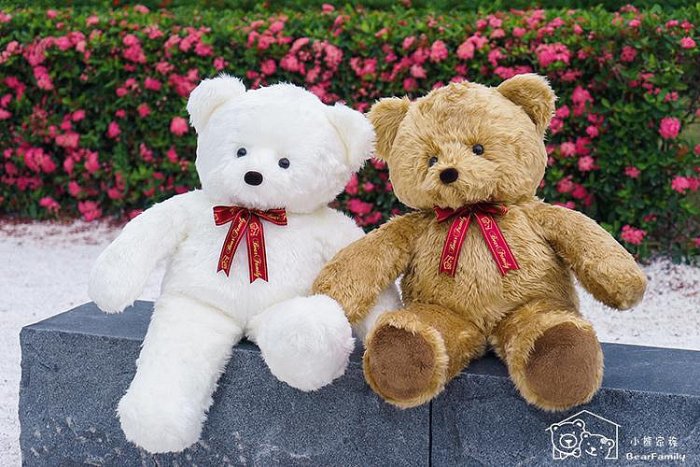 �զ⥿�P�j��100cm��u���}��Made in Taiwan�i¸�r*�K�O�N�g�d��*�x�W��@~*�p���a��*~