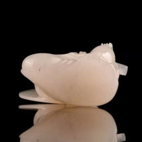 e56163c0-9635-4603-aec1-