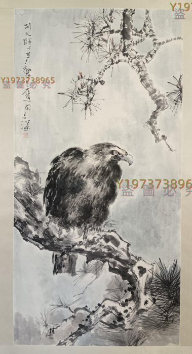 6517 楊善深松鷹圖（純手繪） 立軸畫心尺寸67 X 1 【古董店】-1839