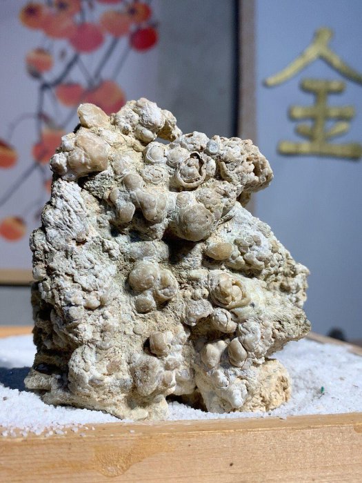 嚴選天然鐘乳石擺件，復古山形搭配石獅子象形，fits空間裝飾推薦鐘乳石