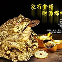 嫃藏閣~已開光中號純銅招財金蟾擺件三足金蟾招財進寶三腳蟾蜍寶七星金