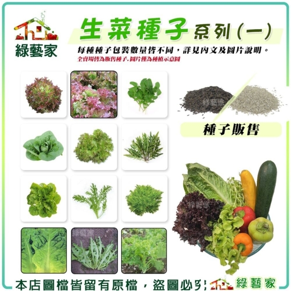 【綠藝家】新手生菜類種子系列一(各包裝數量詳見內文及圖片說明)水耕種子 水耕蔬菜 萵苣 羽衣
