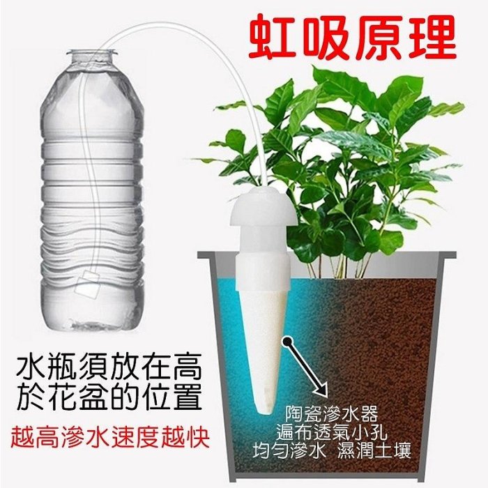 【珍愛頌】N097 加長款 滲水器 2入 自動澆花器 澆水器 滴灌器 施肥器 陶瓷滴頭 懶人澆花器 盆栽 花卉 自動澆水