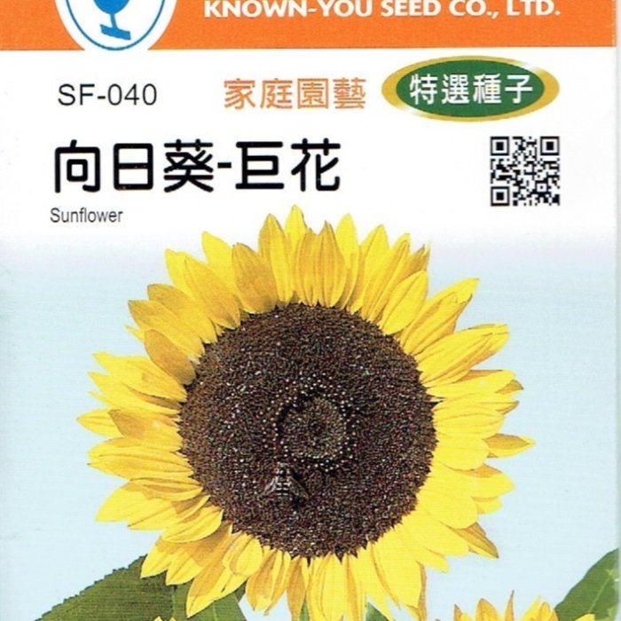 向日葵【滿790免運費】向日葵-巨花農友種苗特選花卉種子每包約40粒保證