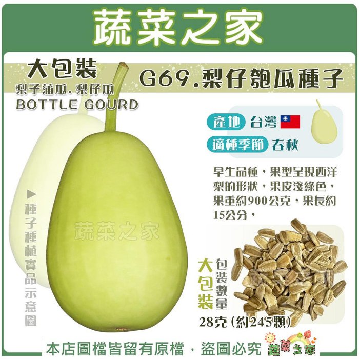 梨仔瓜種子的價格推薦 - 2026年4月 | 比價比個夠BigGo