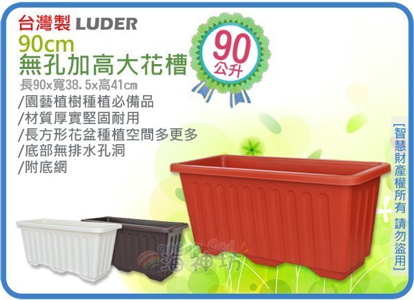 大型盆栽大　花台　貝模様 現在の展示 Current Exhibition 花筏 Japanese helwingia あかし