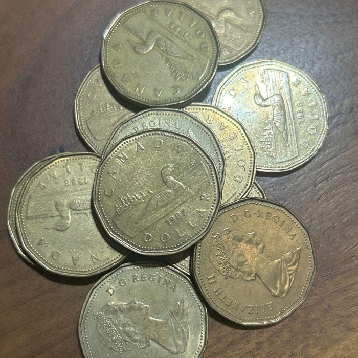 古錢幣 貨幣 H2Shop】加拿大Canada 加幣1元1987-1989年伊莉莎白二世女王鴨子圖案12