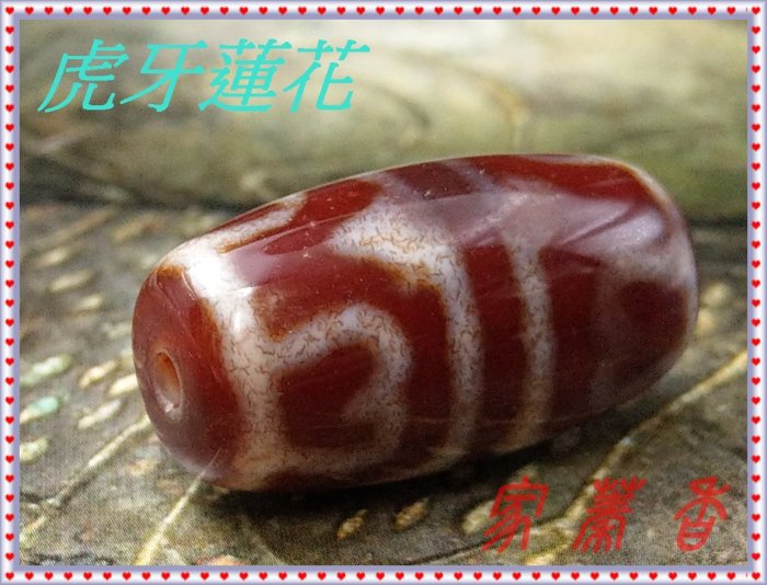 家蓁香】西藏牛血紅虎牙蓮花天珠(透光) 老料老物件配櫻桃紅龍鱗瑪瑙高
