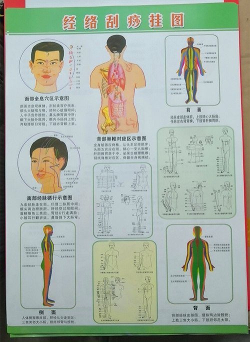 人體背部反射區的價格推薦 - 2026年4月 | 比價比個夠BigGo