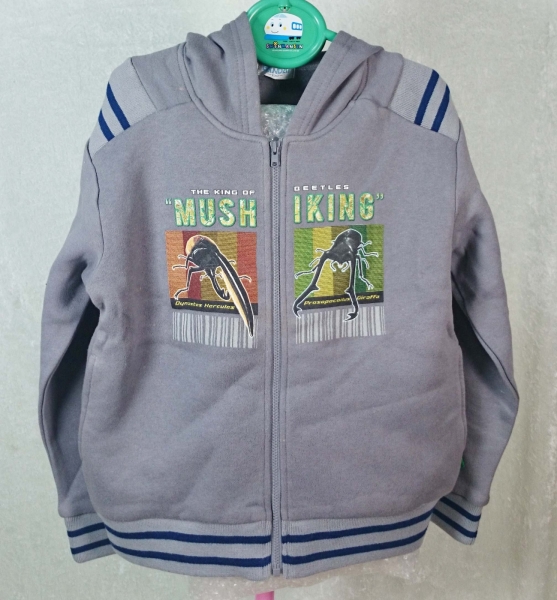 【震撼精品百貨】甲蟲王者 The King Of Beetles~灰外套*40109