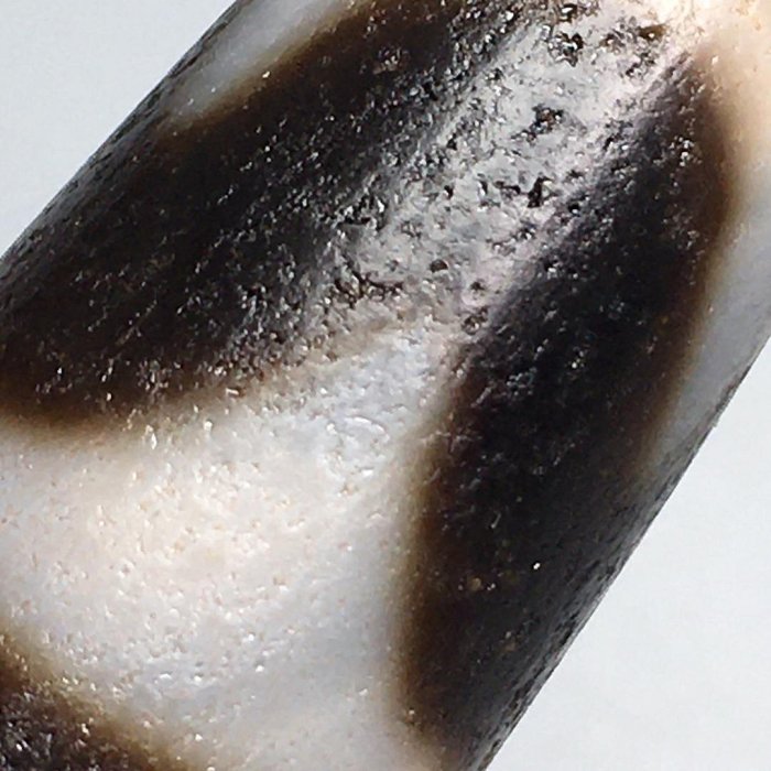藏傳極品雙虎牙高油包漿馬蹄紋老天珠，尺寸51.8×14.6左右，材質：瑪瑙