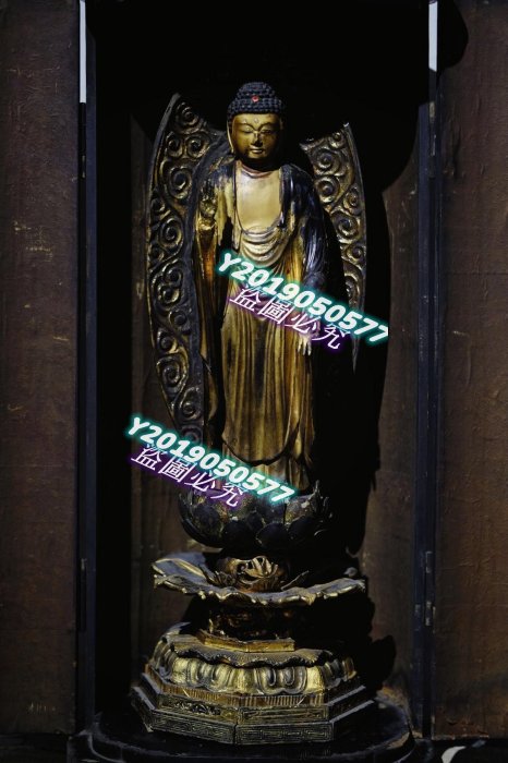 阿弥陀如来立像 【宙】鎌倉時代 鍍金 木彫玉眼 阿弥陀如来立像 高62.7cm