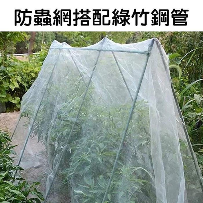 【珍愛頌】N750 全新料 防蟲網 40目 60目 防蚊網 大棚防蟲網 防鳥網 菜網 蔬菜網 防果蠅 白紗網 紗窗網