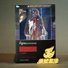 參號倉庫) 現貨figma SP-142 桌上美術館人體模型理科教室可動