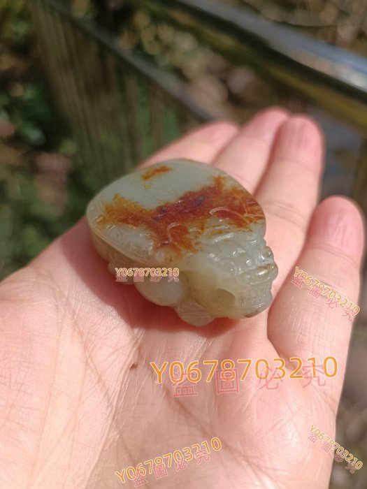 籽料和田玉紅皮龍龜真真實實的瑪麗艷紅皮，一眼就被迷住了，背面滿皮