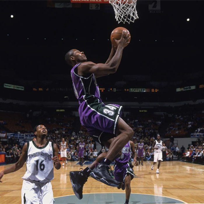 Air Jordan “Ray Allen 雷阿倫雄鹿黑紫百搭氣墊低筒籃球鞋304775-053