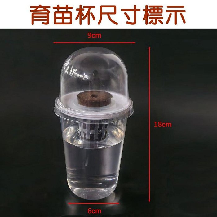 【珍愛頌】N693 育苗杯五件套 水培杯 水培種子花盆 水培花盆 水耕瓶 育苗盆 塑膠花盆 水培瓶 水養植物瓶 水耕盆栽