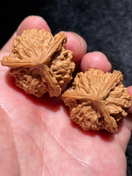 文玩核桃正奔的價格推薦- 2026年2月| 比價比個夠BigGo