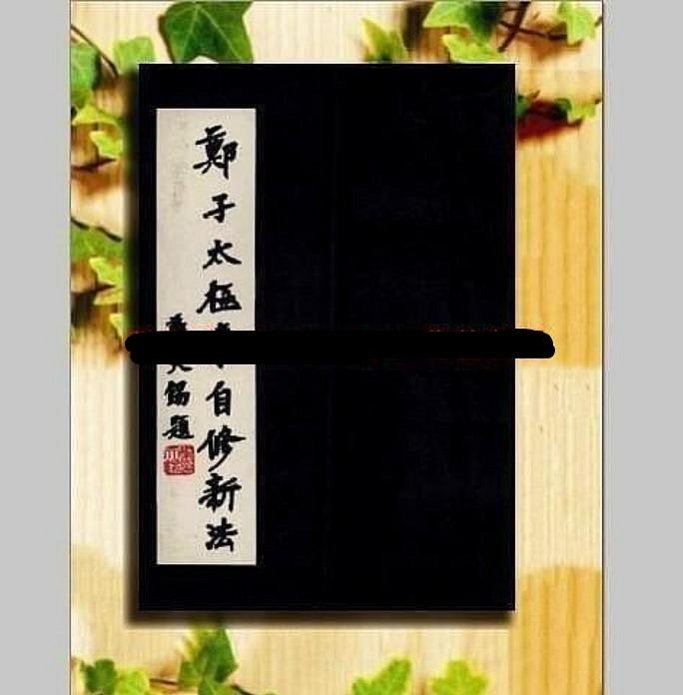 鄭子太極拳自修新法 鄭子太極拳自修新法- 三民網路書店
