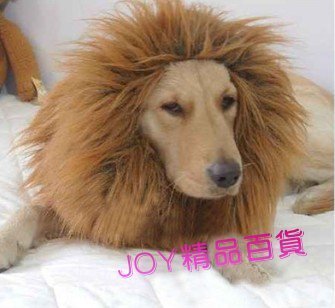狗狗獅子假髮/寵物獅子頭套/JOY精品百貨推薦| Yahoo拍賣