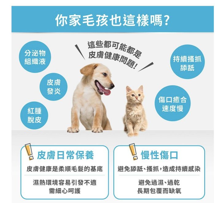 Dingo丁狗 寵物專用 皮膚軟膏/皮膚噴劑~褥瘡/慢性傷口/異位性皮膚炎均適用呦 | Yahoo拍賣
