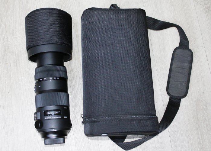 SIGMA 150-600mm DG  Sports  for nikon  望遠  打鳥 9成5以上新