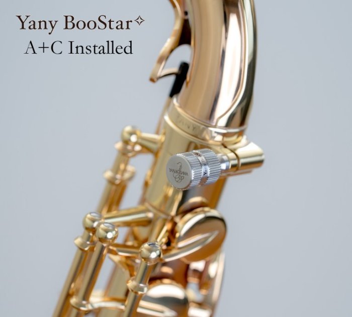 唐川音樂§ 【 Yanagisawa 柳澤Yany BooStar 共鳴配重螺絲】日本