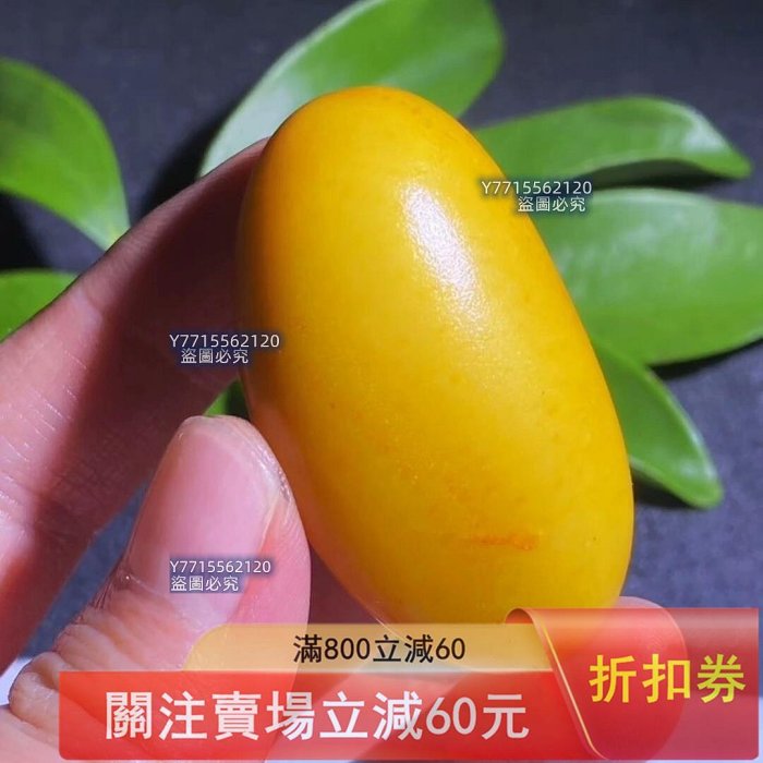 新疆和田玉黃沁（鳮油黃）籽料原石籽型完整飽滿老熟細膩油糯毛孔清晰自