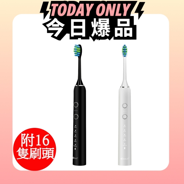 DALE磁懸浮聲波電動牙刷兩入組(附16隻刷頭)DL-5201