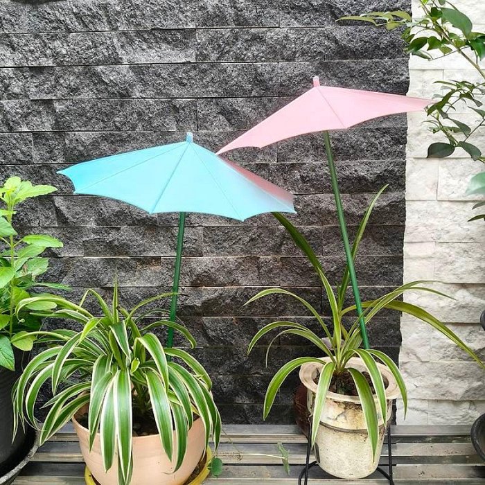 【珍愛頌】N720 植物保護傘 裝飾傘 遮陽傘 防曬傘 保護罩 植物遮雨罩 植物防曬罩 植物遮陽傘 植物雨傘 植物防護傘
