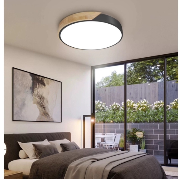 【燈王的店】柏拉圖 LED 24吸頂燈三色變光附遙控器 可調光調色 客廳燈 C0059-24W 可換式晶片