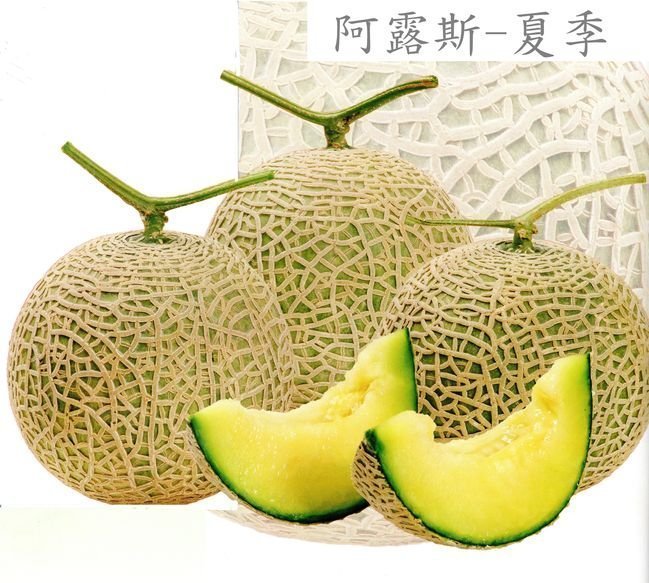 中国香瓜10kg 518UjlT16ZL.jpg_BO30,255,255,