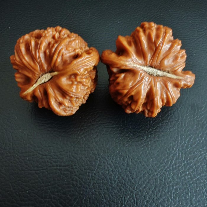 實屬難得的文玩核桃，大尺寸正三角白全品，糖三角，尺寸