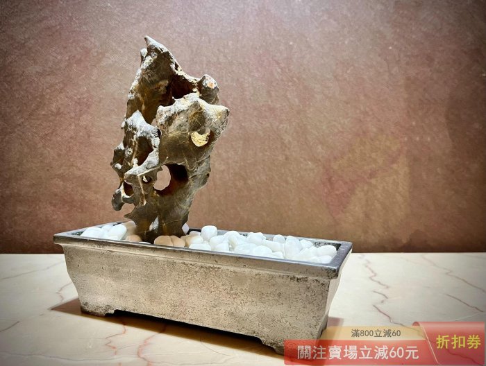 案上山景天然太湖石，鋁合金石盆韻味十足尺寸鋁合金石盆18.5CM*7CM，高