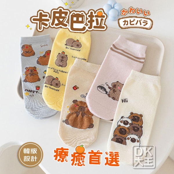 韓版 卡皮巴拉 精梳棉 襪子 直板襪 船襪 102 可愛水豚 CAPYBARA【DK大王】