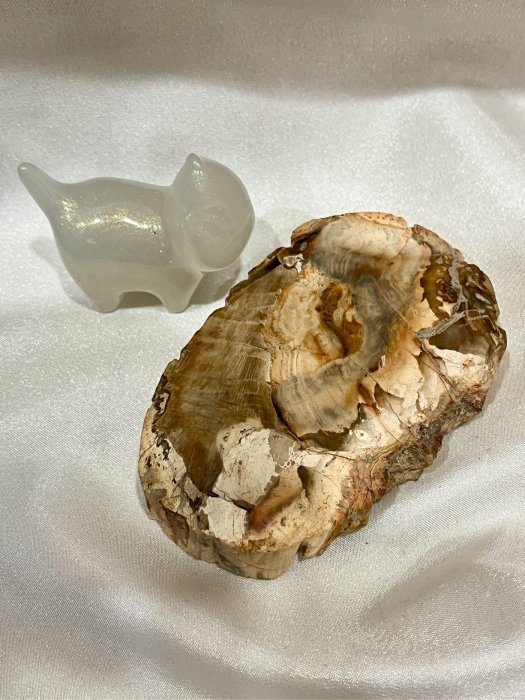 樹化玉木化石木玉化木原石礦墊色紋美厚材厚料天然化石萬年木| Yahoo拍賣