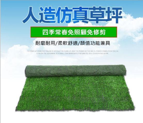 人造草坪 2m×10m 草坪长度 35mm 人造草垫 草坪密度 2 倍耐用性