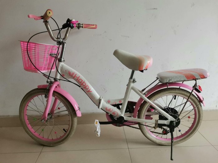 嚴選2003捷安特兒童自行車，後期使用仍保有良好品質，合肥即送 2003 捷安特 電動自行車 傾角調整