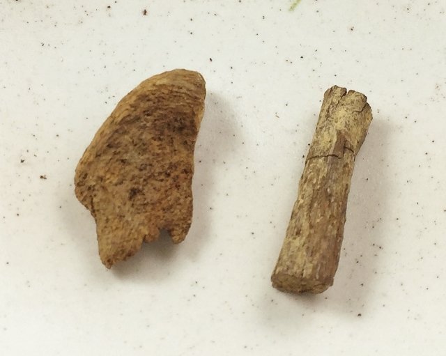 沉水~越南富森紅土沉香【周錦香】約1g 越南正區濃甜蜜韻甘醇奶香