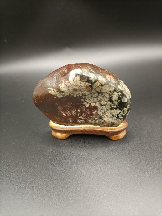 天然 菊花石 610g ☆ 鑑賞石 菊花石 盆栽 天然 菊花石 610g ☆ 鑑賞石 菊花石 盆栽