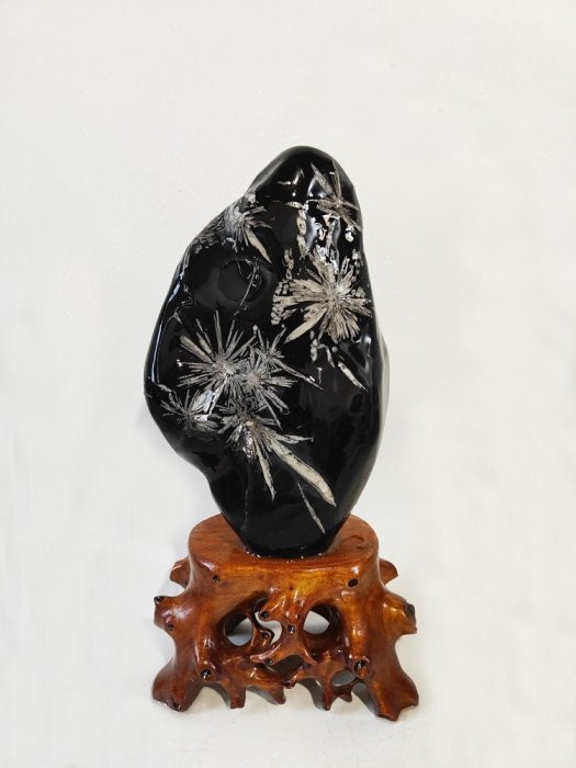 漂亮天然黑色菊花石雕奇石觀賞石原石材料桌面新中式擺【爆款特賣】請