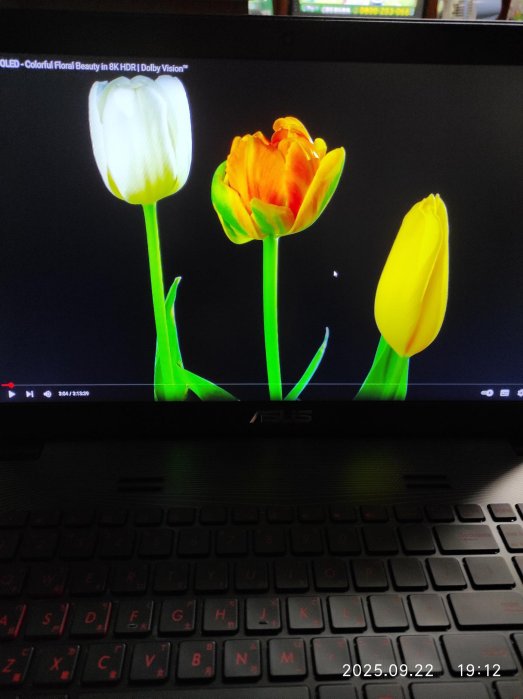 二手筆電🔥電競秒開機 15吋 ASUS GL552V｜i7八處理器，NV 4G獨顯16G+M.2 SSD+1T+FHD廣域可視角